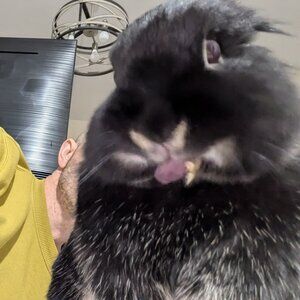 Mitzie & Shadow's NWT, NWOT, LIKE NEW.